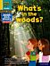 Read Write Inc. Phonics: What's in the woods? (Yellow Set 5 NF Book Bag Book 10)