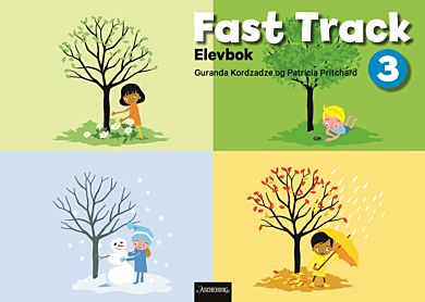 Fast track 3