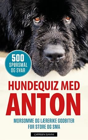 Hundequiz med Anton