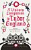 A Visitor's Companion to Tudor England