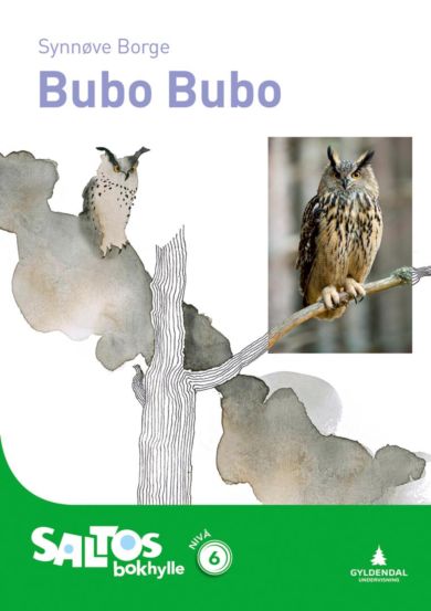 Bubo Bubo