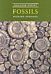 Discover Dorset Fossils