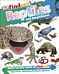 DKfindout! Reptiles and Amphibians