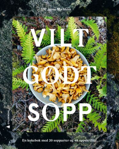 Vilt godt sopp