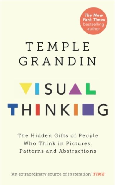 Visual Thinking