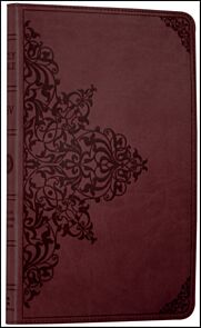 Holy Bible: English Standard Version (ESV) Anglicised Chestnut Ornamental Thinline edition