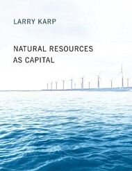 Natural Resources as Capital