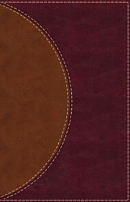 Amplified Reading Bible, Leathersoft, Brown, Thumb Indexed