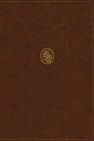 NRSV, The C. S. Lewis Bible, Leathersoft, Brown, Comfort Print