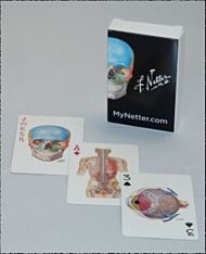 Netter Playing Cards