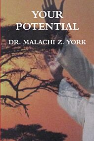 Your Potential