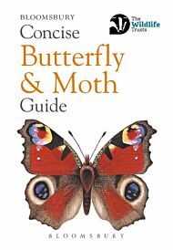 Concise Butterfly and Moth Guide