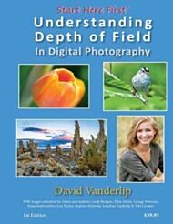 Understanding Depth of Field In Digital Photography