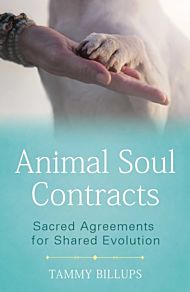 Animal Soul Contracts