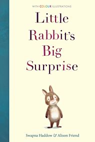 Little Rabbit's Big Surprise