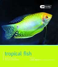 Tropical Fish - Pet Friendly