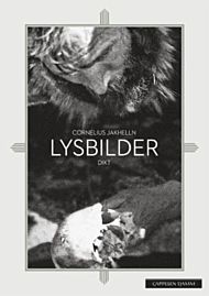 Lysbilder