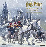 Harry Potter julekalender. En magisk jul på Galtvort