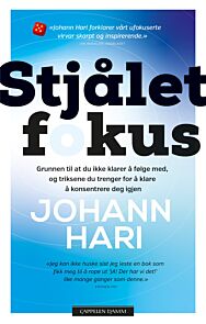 Stjålet fokus