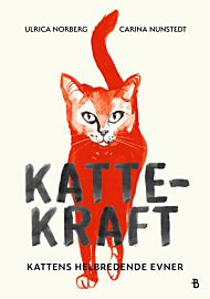 Kattekraft