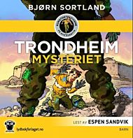 Trondheim-mysteriet