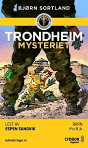 Trondheim-mysteriet