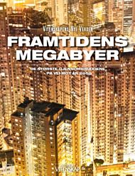 Framtidens megabyer