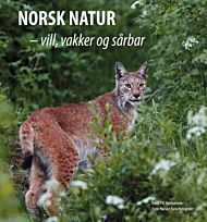 Norsk natur