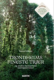 Trondheims fineste trær