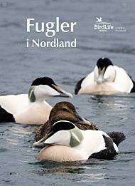 Fugler i Nordland