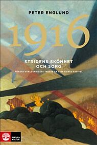 Stridens 1916