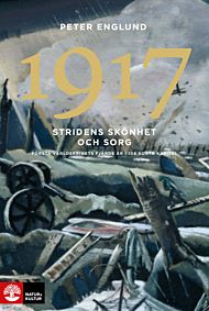 1917 Stridens skönhet och sorg