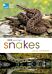 RSPB Spotlight Snakes