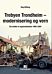 Trebyen Trondheim - modernisering og vern