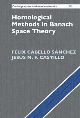 Homological Methods in Banach Space Theory