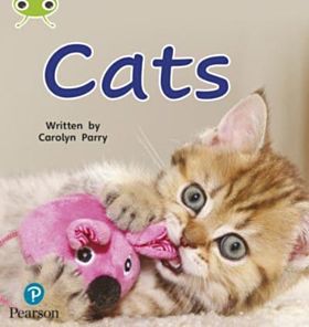 Bug Club Phonics Non-Fiction Early Years and Reception Phase 2 Unit 3 Cats