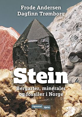 Stein