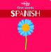 Lonely Planet Kids First Words - Spanish