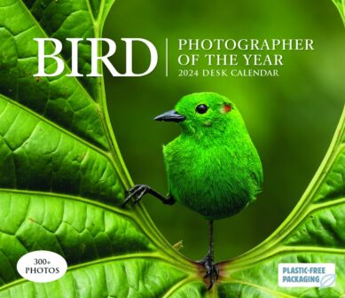 Kalender 2024 Bordkalender Bird Photgrapher