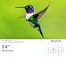 Kalender 2024 Bordkalender Bird Photgrapher