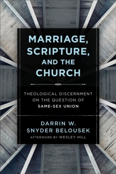 Marriage, Scripture, and the Church - Theological Discernment on the Question of Same-Sex Union