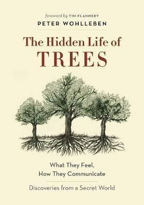 The Hidden Life of Trees